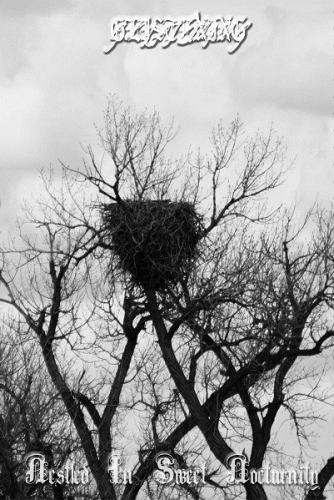 Glistening : Nestled in Sweet Nocturnity Glistening : Nestled in Sweet Nocturnity